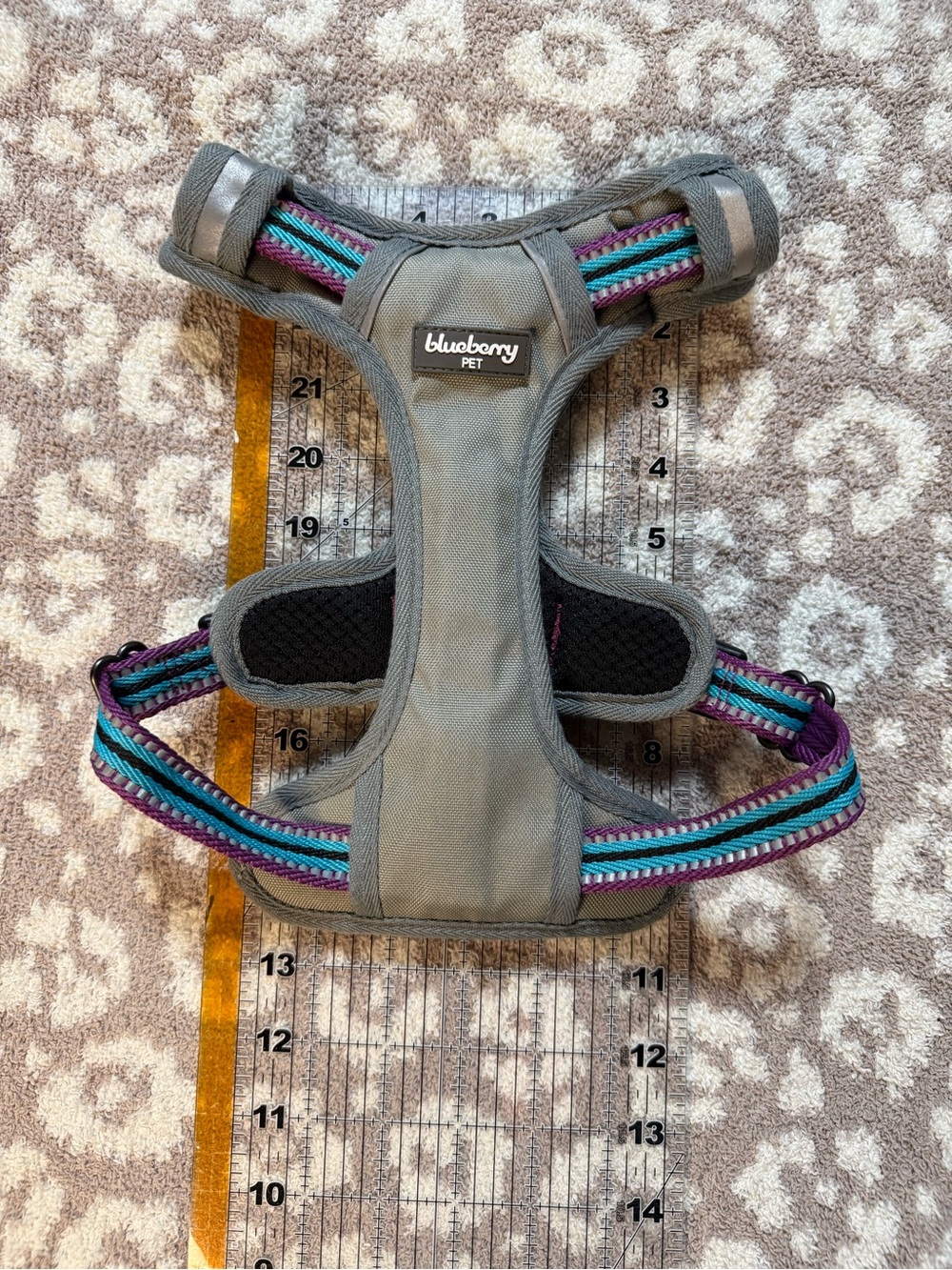 Grey Harness with Purplew & Teal Accents